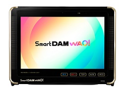 SmartDAM